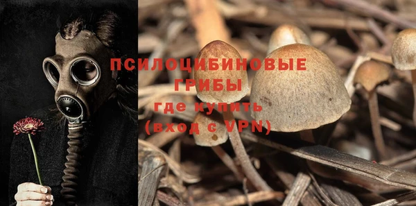 мяу мяу кристалл Магас
