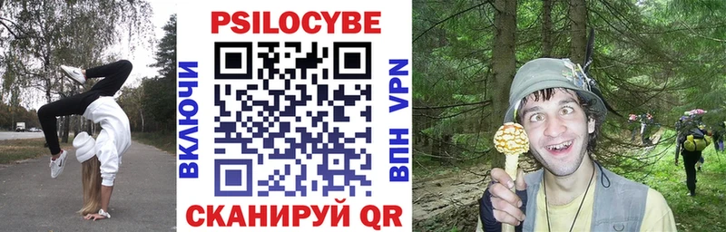 где продают наркотики  Новопавловск  Псилоцибиновые грибы GOLDEN TEACHER 