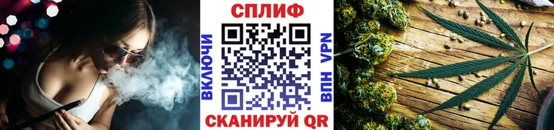 где продают наркотики Новопавловск Каннабис семена